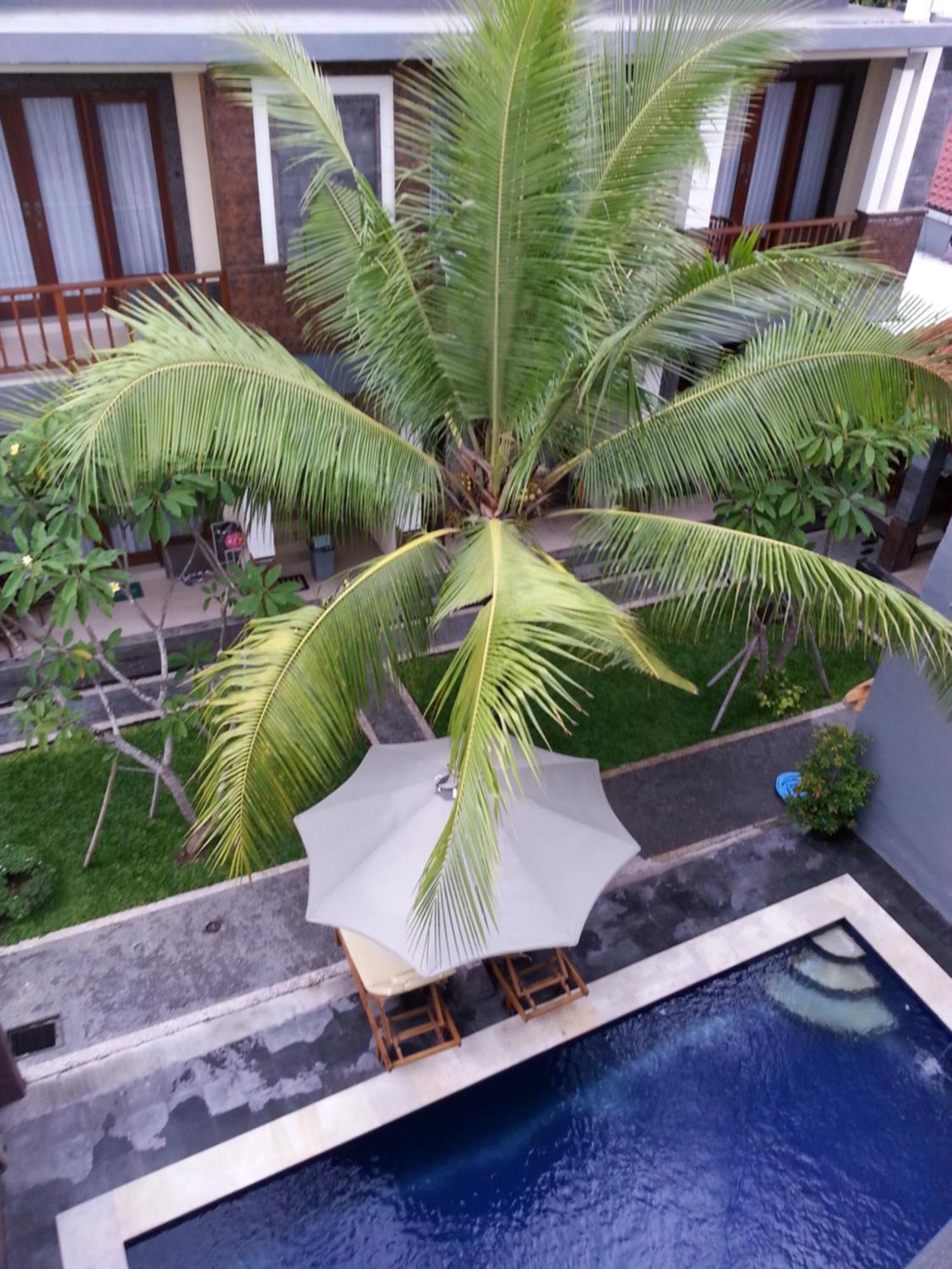 Dabumito Guest House Canggu  Exterior photo
